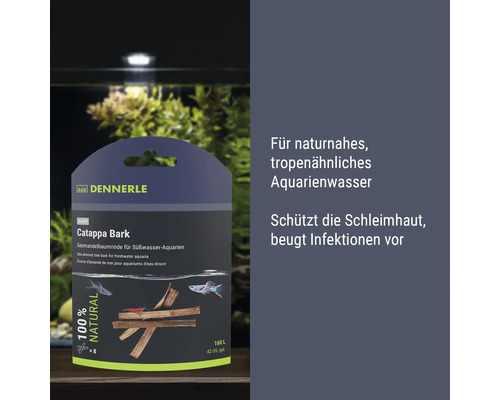 Dennerle Catappa Bark Seemandelbaumrinde zur Wasseraufbereitung in Süßwasser Aquarien schützt die Schleimhaut und beugt Infektionen vor