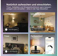 Infografik zeigt smarte Lichtsteuerung Funktionen wie Zeitplan, Gruppierung, Timer und Farbwechsel für ein natürliches Schlaf und Wachgefühl.