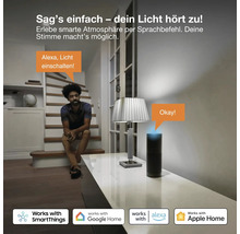 Ein Mann sitzt auf einer Treppe und steuert die Beleuchtung im Wohnzimmer per Sprachbefehl über einen smarten Lautsprecher.