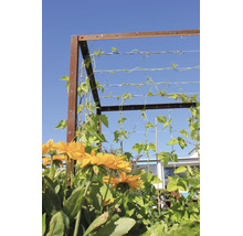 Rankgitter aus Metall mit Rostoptik und horizontal gespannten Drähten, berankt von grünen Bohnenpflanzen, im Vordergrund gelbe Blumen.