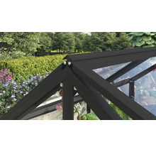 Detailansicht des Dachfirsts eines Gewächshauses mit dunklem Aluminiumrahmen und transparenter Verglasung vor Gartenkulisse.