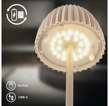 LED Tischleuchte mit Akkubetrieb und USB-C Anschluss sowie Schalter zum Ein und Ausschalten.