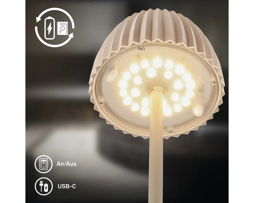 LED Tischleuchte mit Akkubetrieb und USB-C Anschluss sowie Schalter zum Ein und Ausschalten.