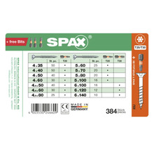 SPAX Universalschrauben Sortiment mit 384 Teilen inklusive T20 und T30 Bits in verschiedenen Größen