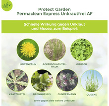 Infografik für Protect Garden Permaclean Express Unkrautfrei AF zeigt beispielhaft verschiedene Unkrautarten gegen die das Mittel wirksam ist.