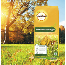 Solabiol Herbstrasendünger zur Stärkung des Rasens vor dem Winter vor herbstlicher Parkkulisse