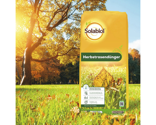Solabiol Herbstrasendünger zur Stärkung des Rasens vor dem Winter vor herbstlicher Parkkulisse