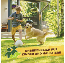 Ein Junge spielt mit einem Hund im Garten auf einem Rasen, ergänzt durch ein Symbol für die Sicherheit für Kinder und Haustiere.