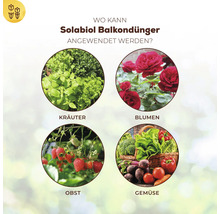 Infografik zur Anwendung von Solabiol Balkondünger für Kräuter, Blumen, Obst und Gemüse auf dem Balkon.