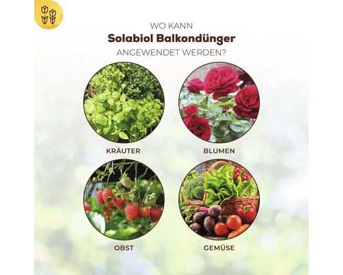 Infografik zur Anwendung von Solabiol Balkondünger für Kräuter, Blumen, Obst und Gemüse auf dem Balkon.