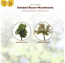 Infografik zur Anwendung von Solabiol Baum Wundwachs bei Ziergehölzen und Obstgehölzen.
