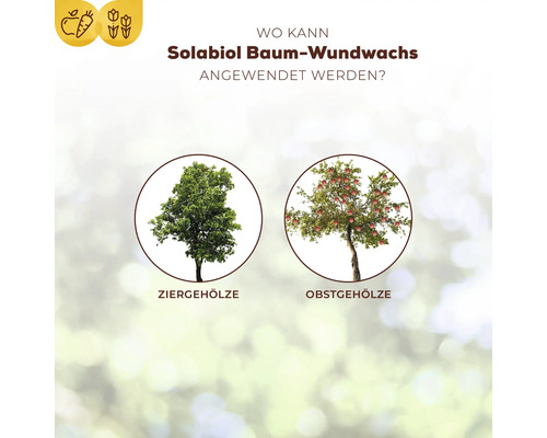 Infografik zur Anwendung von Solabiol Baum Wundwachs bei Ziergehölzen und Obstgehölzen.