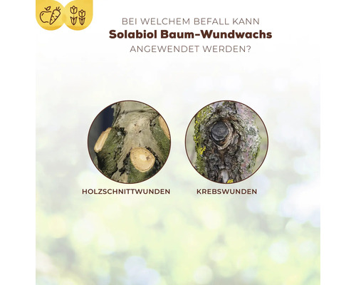 Infografik zeigt Anwendungsmöglichkeiten von Solabiol Baum-Wundwachs bei Holzschnittwunden und Baumkrebs an Baumstämmen.