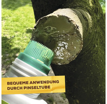 Wundverschlussmittel mit integriertem Pinselaufsatz zum Auftragen auf eine Schnittstelle an einem Baumstamm.