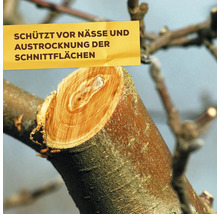 Baumschnitt Wundverschluss Mittel zum Schutz von Schnittflächen an Bäumen vor Nässe und Austrocknung.
