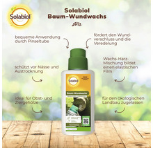 Solabiol Baum Wundwachs in der Pinseltube für Obst und Ziergehölze zur Wundheilung und Veredelung, schützt vor Nässe und Austrocknung.