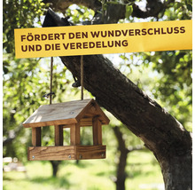 Ein hölzernes Vogelhäuschen hängt an einem Baum, über dem ein Schild mit dem Text fördert den Wundverschluss und die Veredelung angebracht ist.