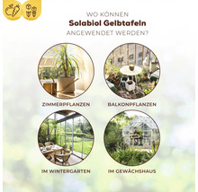 Infografik zur Anwendung von Solabiol Gelbtafeln bei Zimmerpflanzen, Balkonpflanzen, im Wintergarten und im Gewächshaus.