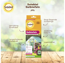 Solabiol Gelbtafeln zur biologischen Bekämpfung von fliegenden Schädlingen wie Trauermücken und Weißen Fliegen, 7 Stück in der Packung.