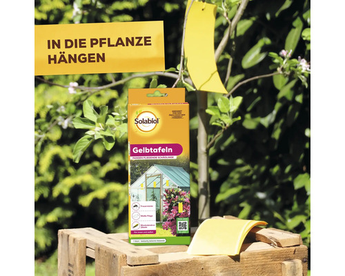 Solabiol Gelbtafeln zur Bekämpfung von fliegenden Schädlingen wie Trauermücken Weiße Fliege und Rhododendron Zikade sieben Stück