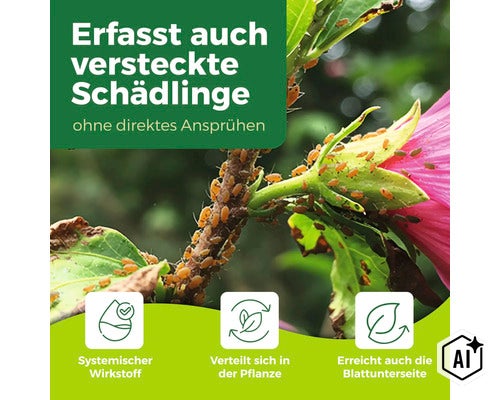 Infografik zeigt Blattlausbefall an einer Pflanze und erklärt die systemische Wirkweise eines Pflanzenschutzmittels gegen Schädlinge. (Image AI modified or generated)
