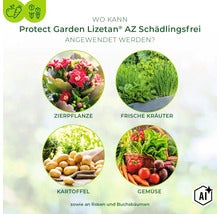 Infografik zeigt Anwendungsmöglichkeiten von Protect Garden Lizetan AZ Schädlingsfrei für Zierpflanzen, Kräuter, Kartoffeln und Gemüse. (Image AI modified or generated)