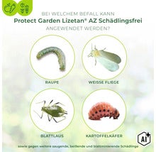 Infografik zeigt Schädlinge wie Raupen, Weiße Fliege, Blattläuse und Kartoffelkäfer zur Anwendung von Protect Garden Lizetan AZ Schädlingsfrei. (Image AI modified or generated)