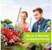 Ein lächelndes Paar gärtnert gemeinsam vor blühenden Blumen mit einem Hinweis auf bis zu 3 Wochen Langzeitwirkung. (Image AI modified or generated)