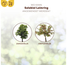 Infografik zur Anwendung von Solabiol Leimring bei Ziergehölzen und Obstgehölzen.