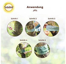 Anleitung zur Anwendung eines Leimrings an einem Baumstamm mit Solabiol Logo und fünf Schritten.