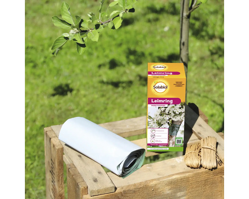 Solabiol Leimring zur Insektenabwehr an Obst und Ziergehölzen, 5 Meter Rolle mit Befestigungsschnur auf einer Holzkiste im Garten.