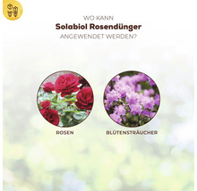 Infografik zeigt Anwendungsmöglichkeiten für Solabiol Rosendünger bei Rosen und Blütensträuchern.