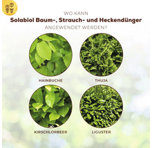 Infografik zeigt Anwendungsbeispiele für Solabiol Dünger an Hainbuche, Thuja, Kirschlorbeer und Liguster.