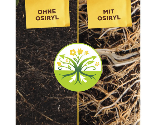 Vergleichsbild Wurzelwachstum mit und ohne Osiryl Wurzelaktivator.