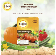 Solabiol Tomatendünger in der Schachtel, geeignet für Tomaten und anderes Gemüse, zur Förderung des Wachstums und der Widerstandskraft.