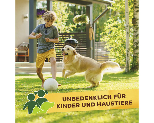 Ein Junge spielt mit einem Hund im Garten auf einem Rasen, ergänzt durch ein Symbol für die Sicherheit für Kinder und Haustiere.