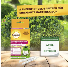 Solabiol Buchsbaumzünsler-Falle Nachfüllpackung mit zwei Pheromongel-Spritzen für die gesamte Gartensaison von April bis Oktober