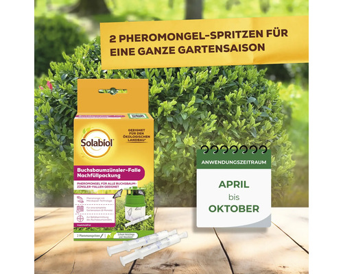 Solabiol Buchsbaumzünsler-Falle Nachfüllpackung mit zwei Pheromongel-Spritzen für die gesamte Gartensaison von April bis Oktober