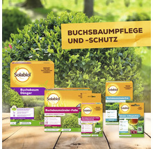 Solabiol Buchsbaumpflege und Schutz Produkte vor einem Buchsbaum platziert.