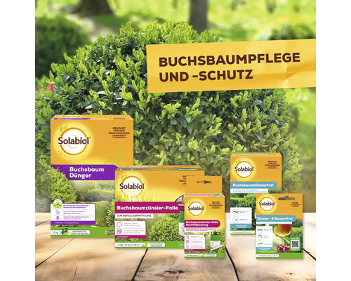 Solabiol Buchsbaumpflege und Schutz Produkte vor einem Buchsbaum platziert.