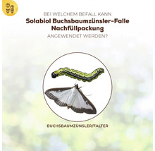 Informationstafel zur Anwendung der Solabiol Buchsbaumzuensler Falle mit Abbildung der Raupe und des Falters des Buchsbaumzuenslers