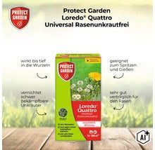 Protect Garden Loredo Quattro Universal Rasenunkrautfrei zur Unkrautbekämpfung im Rasen für 100 Quadratmeter (Image AI modified or generated)