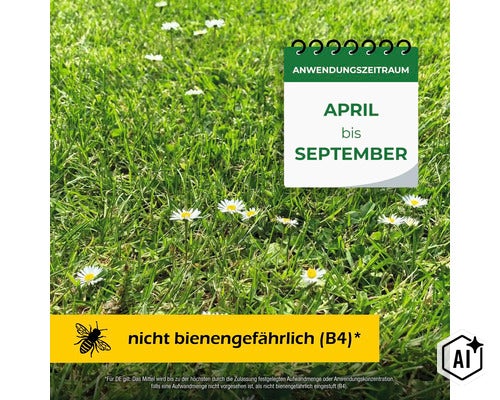 Rasenfläche mit Gänseblümchen, Kalenderanzeige für Anwendungszeitraum April bis September sowie Hinweis nicht bienengefährlich Klasse B4 (Image AI modified or generated)