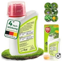 Loredo Quattro Universal Rasenunkrautfrei Flasche mit 100 Milliliter Inhalt zur Unkrautbekämpfung im Rasen inklusive Dosierkappe. (Image AI modified or generated)