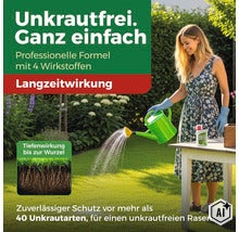 Eine Frau gießt mit einer Gießkanne Unkrautvernichtungsmittel auf den Rasen, um Unkraut bis zur Wurzel zu bekämpfen. (Image AI modified or generated)