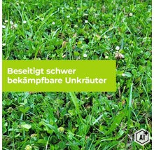 Eine Rasenfläche mit Gras, Klee und Gänseblümchen, dazu ein Textfeld mit dem Hinweis Beseitigt schwer bekämpfbare Unkräuter. (Image AI modified or generated)