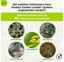 Infografik zeigt Unkrautarten, die mit Protect Garden Loredo Quattro bekämpft werden können, darunter Ehrenpreis, Sauerklee, Löwenzahn, Gundermann. (Image AI modified or generated)