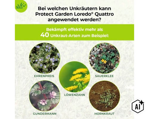 Infografik zeigt Unkrautarten, die mit Protect Garden Loredo Quattro bekämpft werden können, darunter Ehrenpreis, Sauerklee, Löwenzahn, Gundermann. (Image AI modified or generated)
