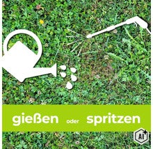 Symbolische Darstellung einer Gießkanne und eines Drucksprühers über einer Rasenfläche mit dem Hinweis gießen oder spritzen. (Image AI modified or generated)