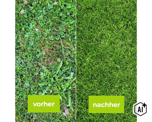 Vergleichsbild einer Rasenfläche mit Unkraut vor und nach einer erfolgreichen Unkrautbekämpfung und Rasenpflege. (Image AI modified or generated)